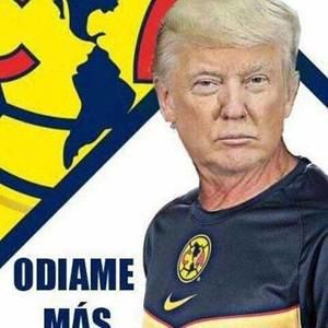 Meet your Posher, Ricky